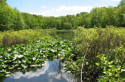 First Tenafly Lost Brook Trail Race a Big Success