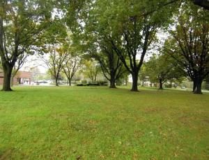 Tenafly Dog Park Discussion is Still On