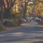  Storm Broken Brraches on Tenafly Streets