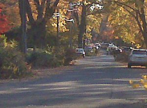 Tenafly Leaf Collection Season Is On