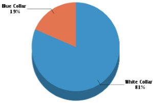 Pie Graph