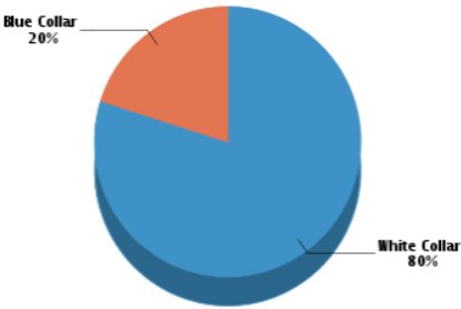 Pie Graph