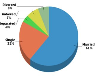 Tenafly Real Estate Pie Chart