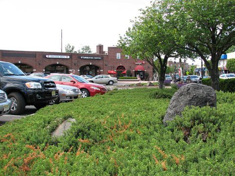 Downtown Closter - Have your coffee at Starbucks and your ice cream at Cold Stone