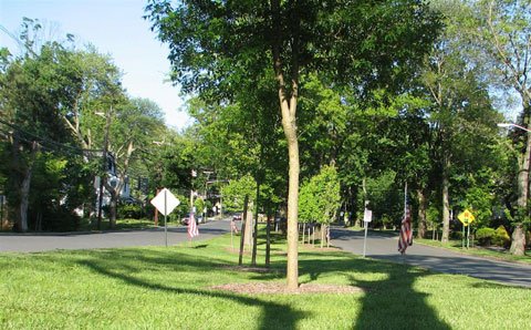 Haworth is relatively sparsely populated suburban community