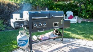 Barbecue in Your Backyard