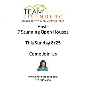 Team Eisenberg | Open Houses | Sunday 8/25