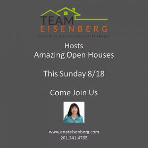 Team Eisenberg Open Houses Sunday 8/18